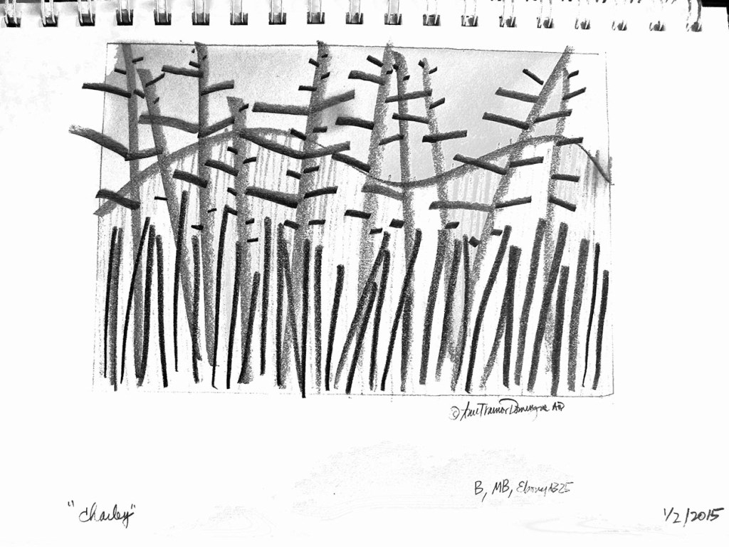 Follow the Fall Line sm